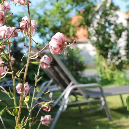 Lejlighed Vintage In Kroepelin Near The Forest *