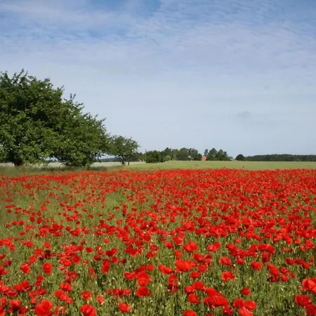 דירה Romantische In